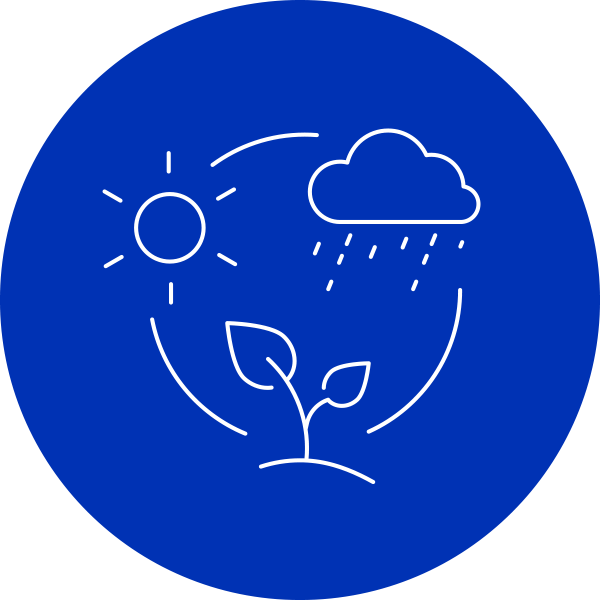 Line art illustration in white colour of a plant, a rainy cloud and the sun on a round blue background shape