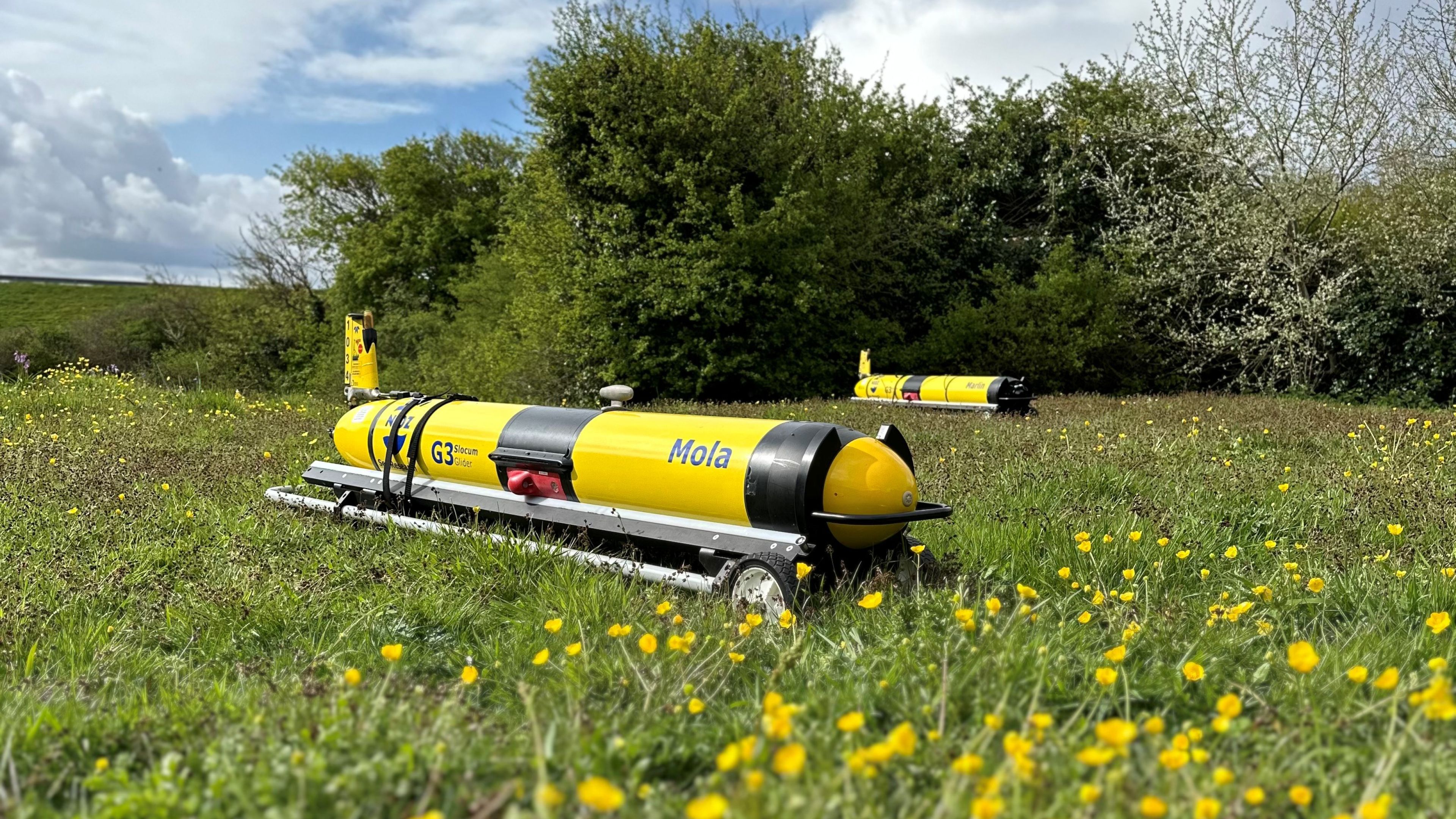 Photo of underwater gliders on a carrying tray in a meadow