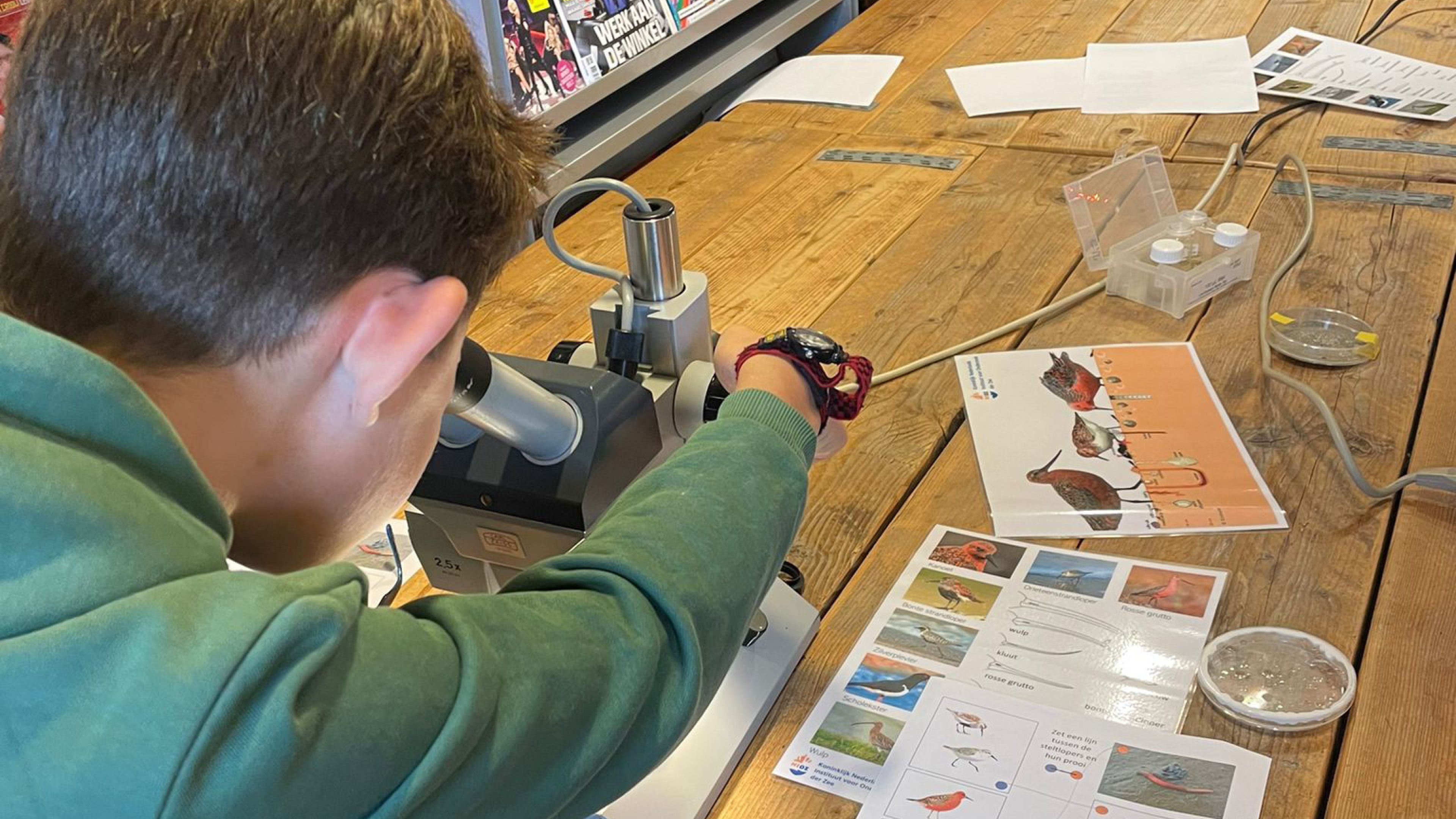 Photo of a young boy looking through a microscope