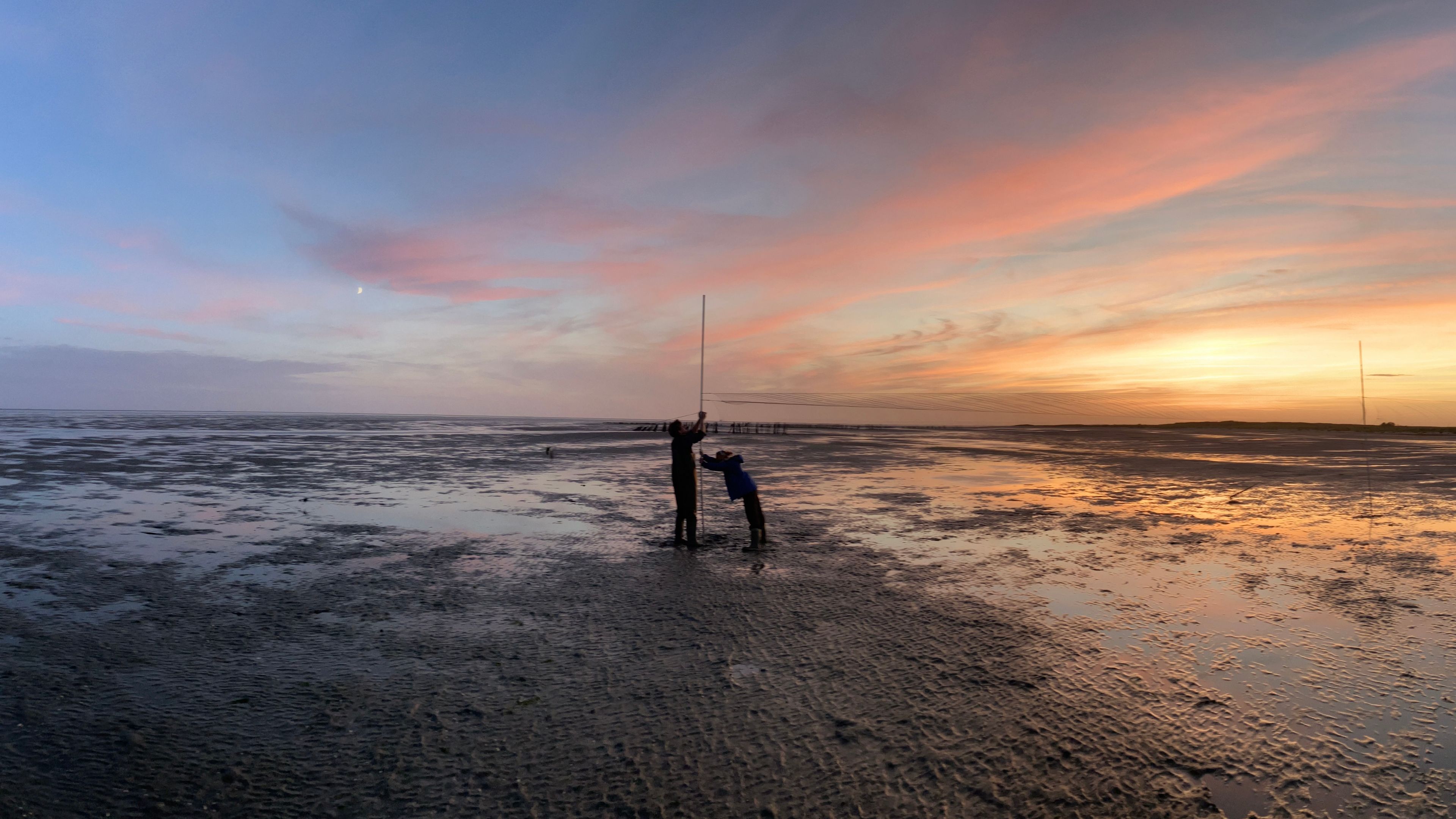 Photo of two persons standing in Wadden Sea with low tide setting up equipment