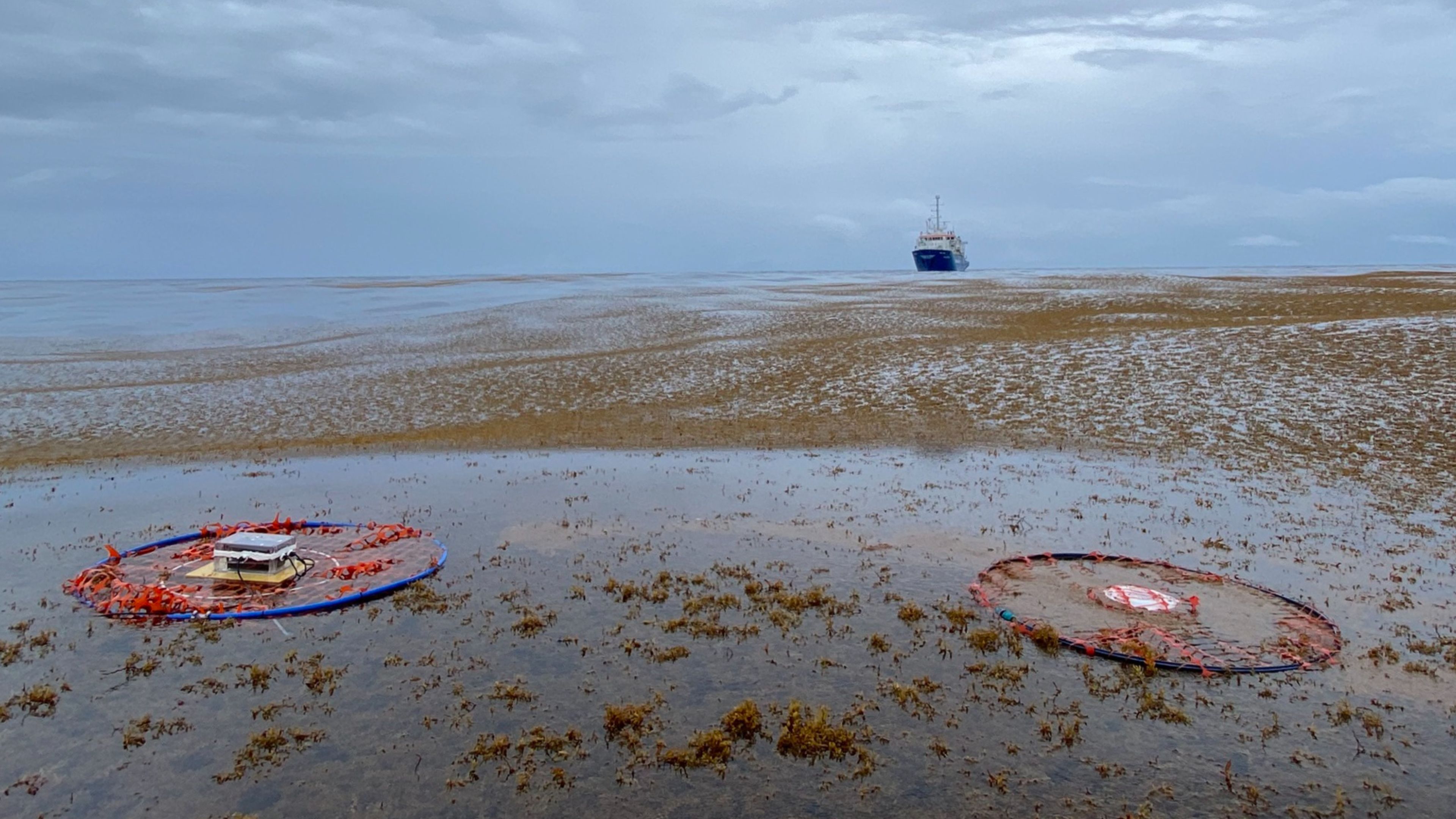 Photo of a chase drifter deployed in a Sargassum patch next to a MetOcean Drifter with the RV Pelagia in the background