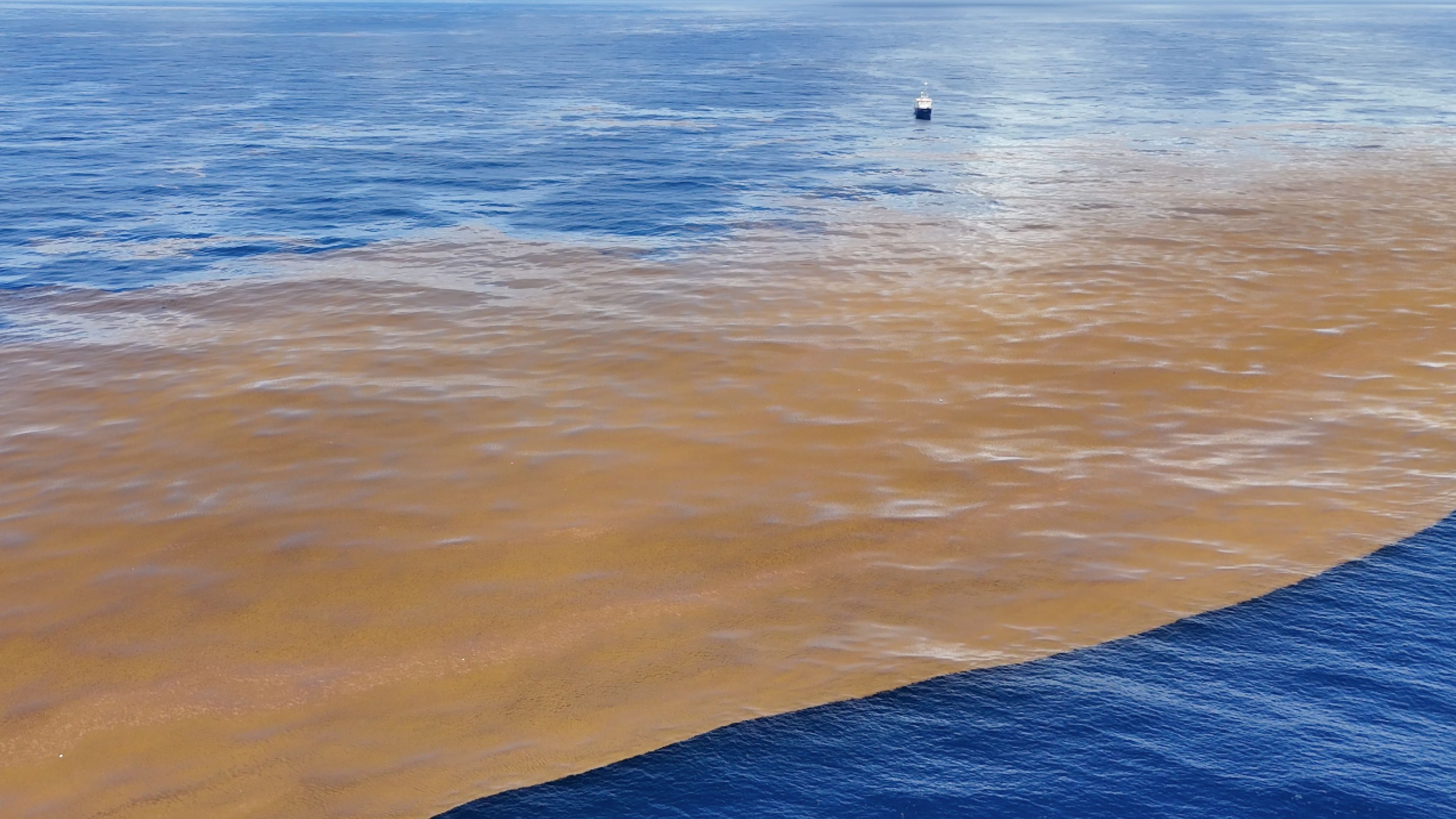 The RV Pelagia alongside one of largest Sargassum patches encountered on our voyage that extended kilometers in either direction, beyond the safe traveling distance of the drone