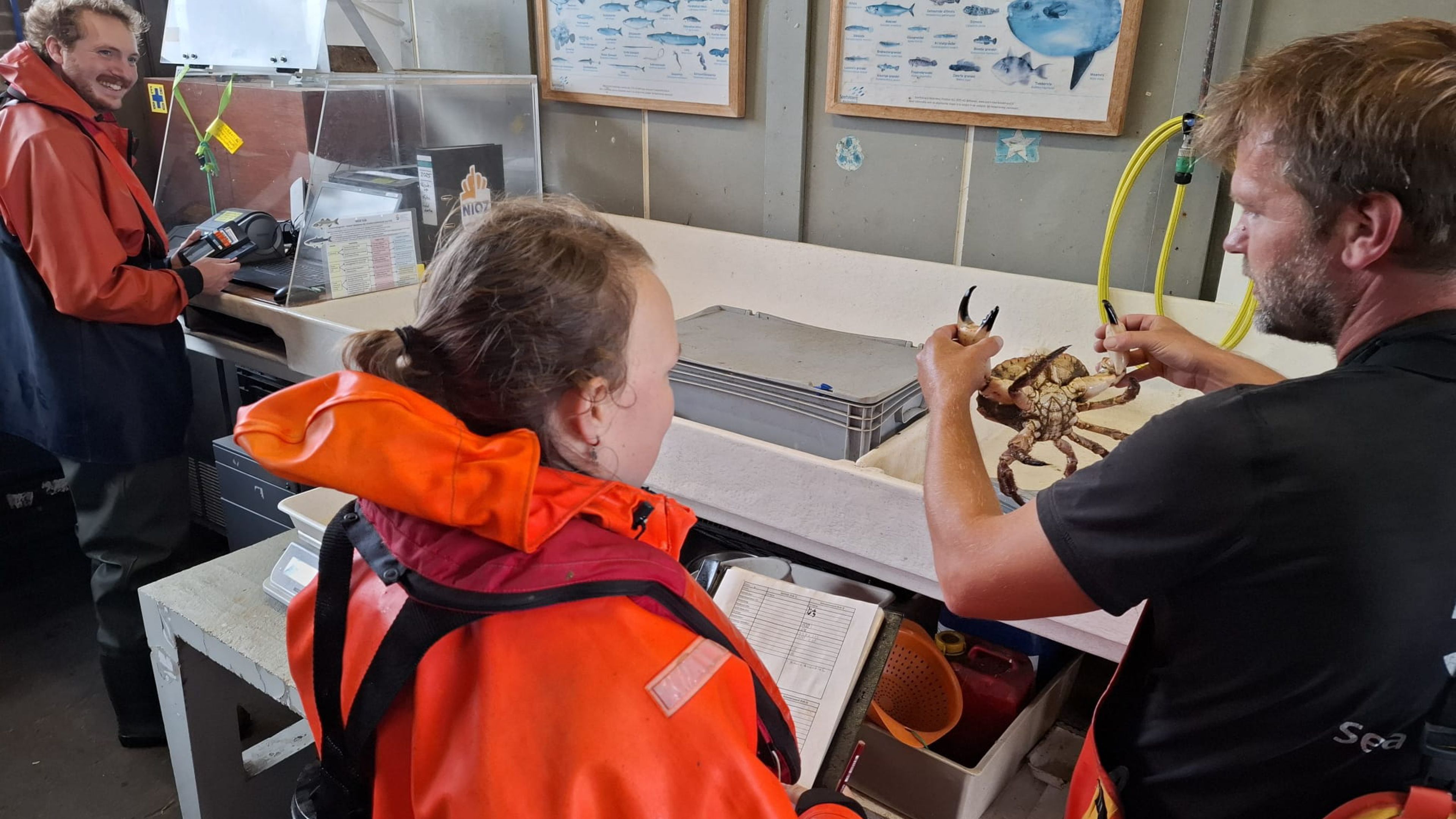 People in a reseaech lab looking at a North Sea crab that has been caught in the fyke
