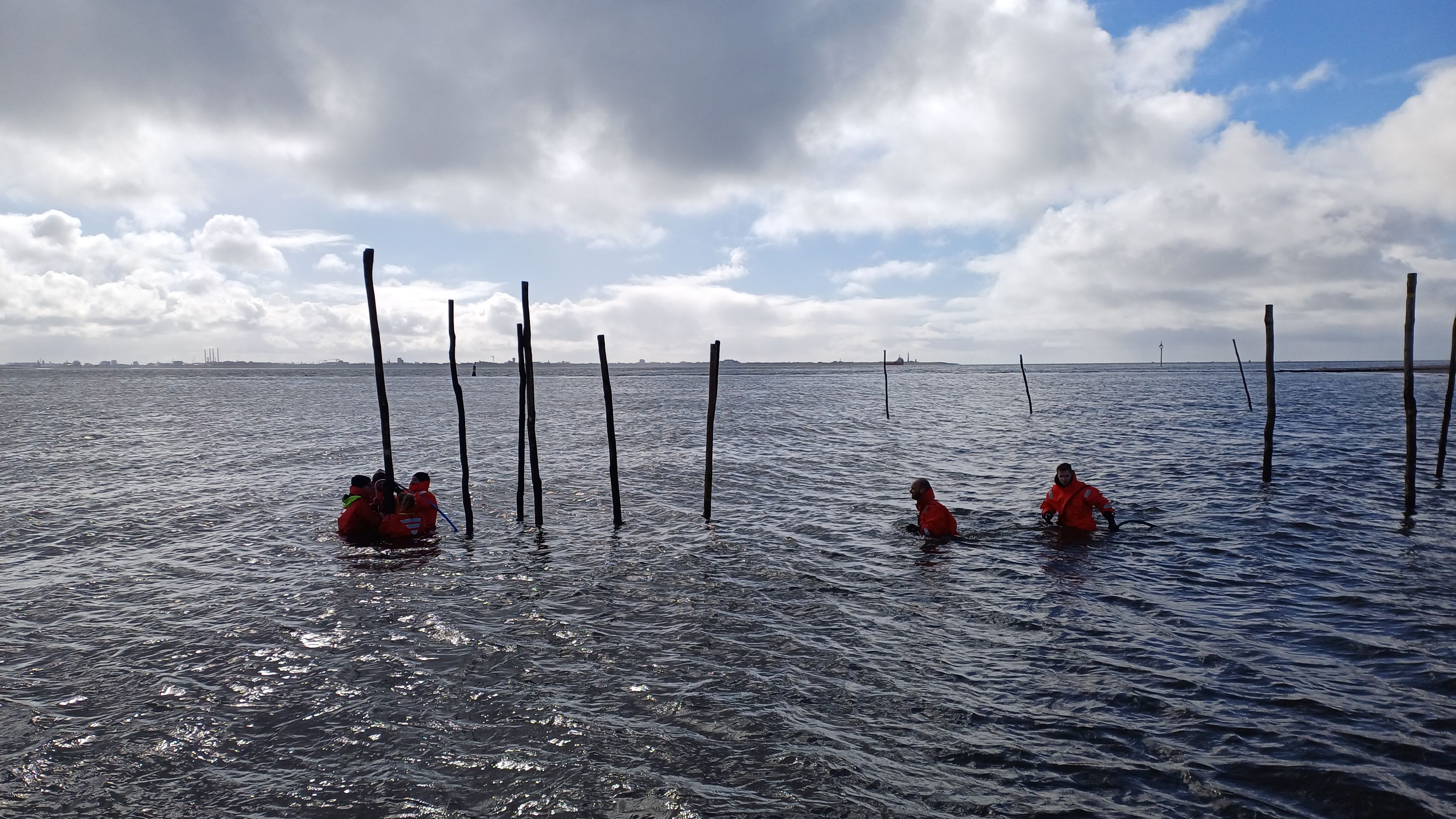 Photo of several people in water placing fyke poles