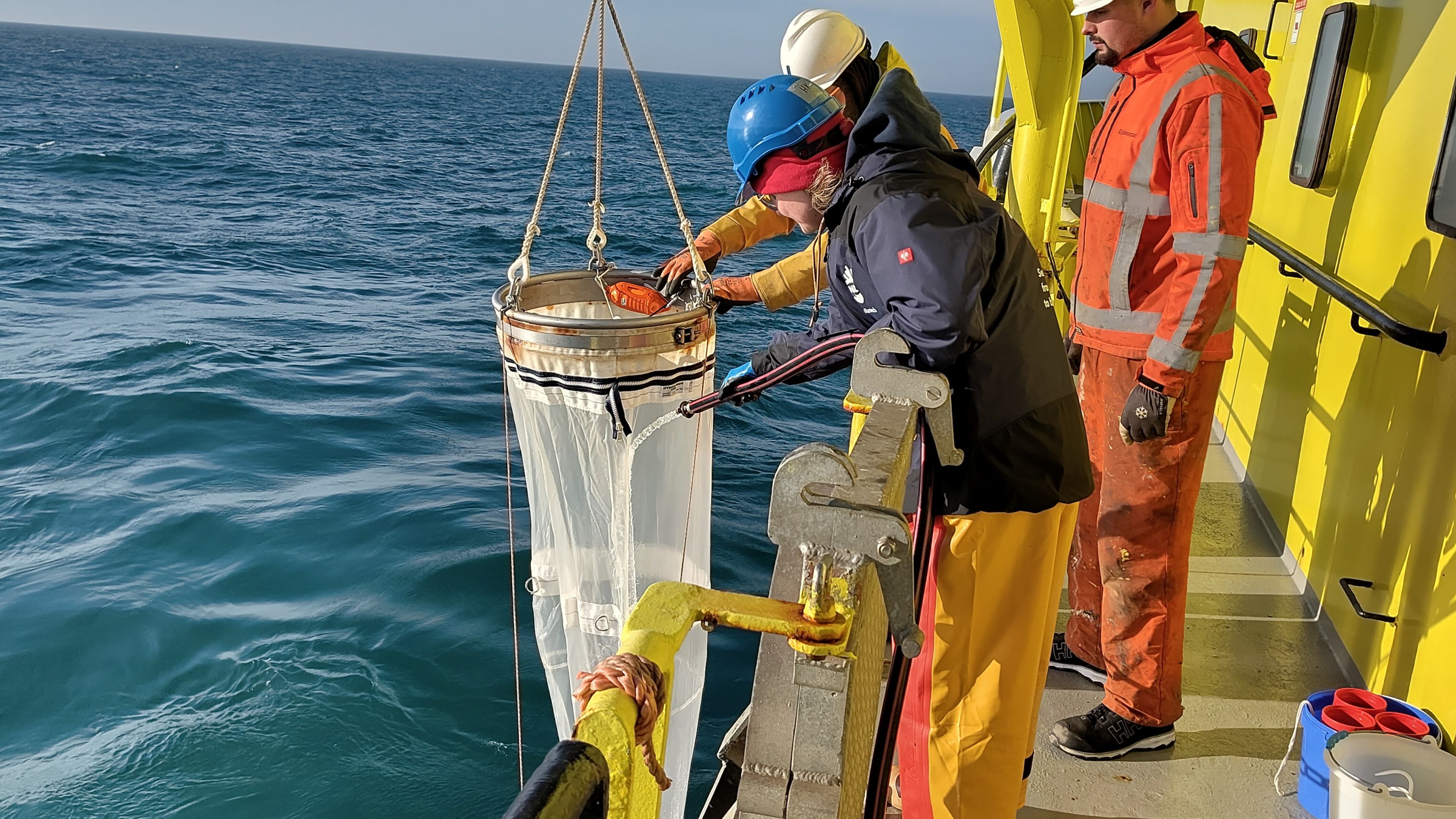 Photo of people on board of a research vessel taking a sample out of the sea