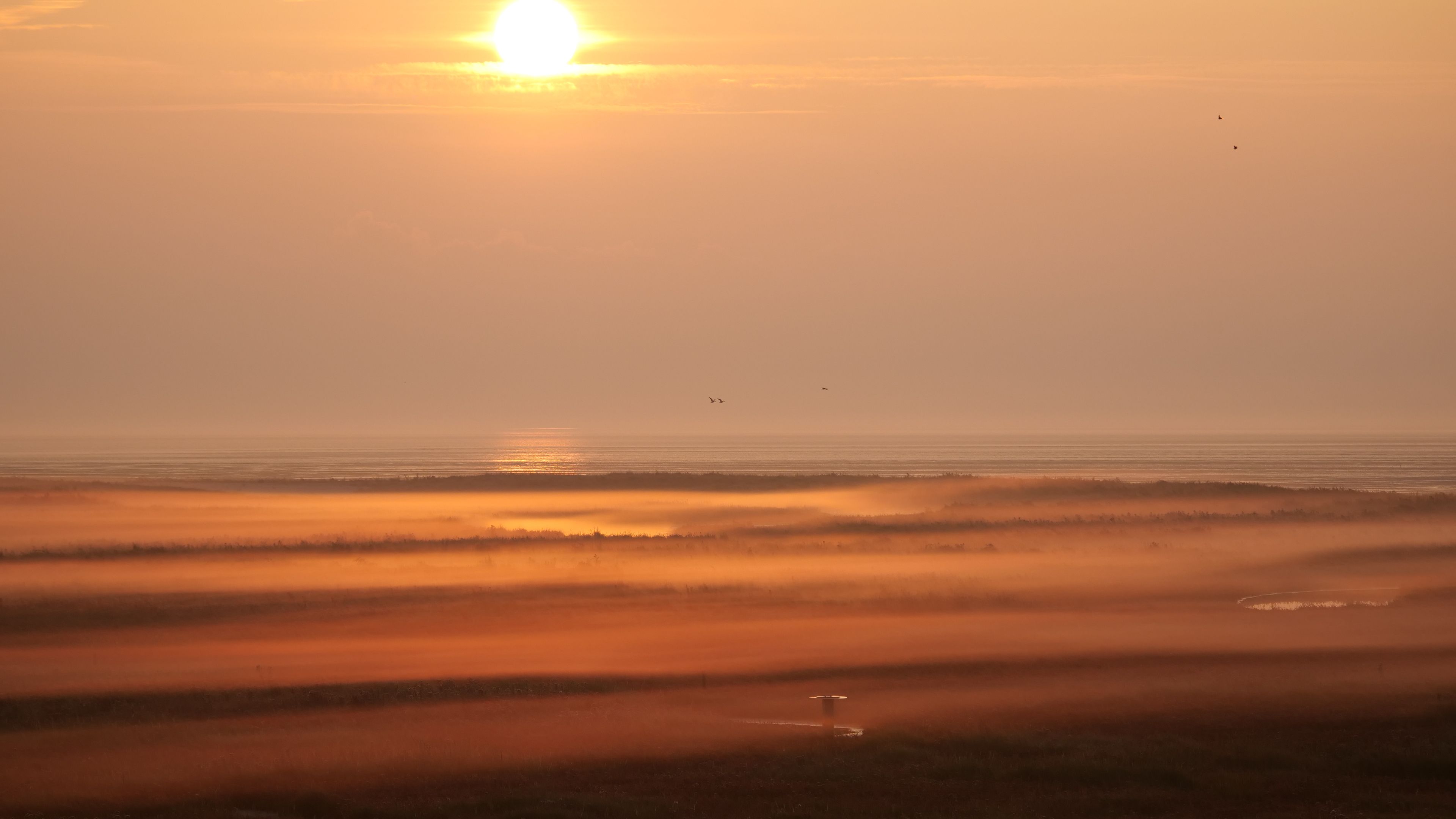 misty sunrise on Griend