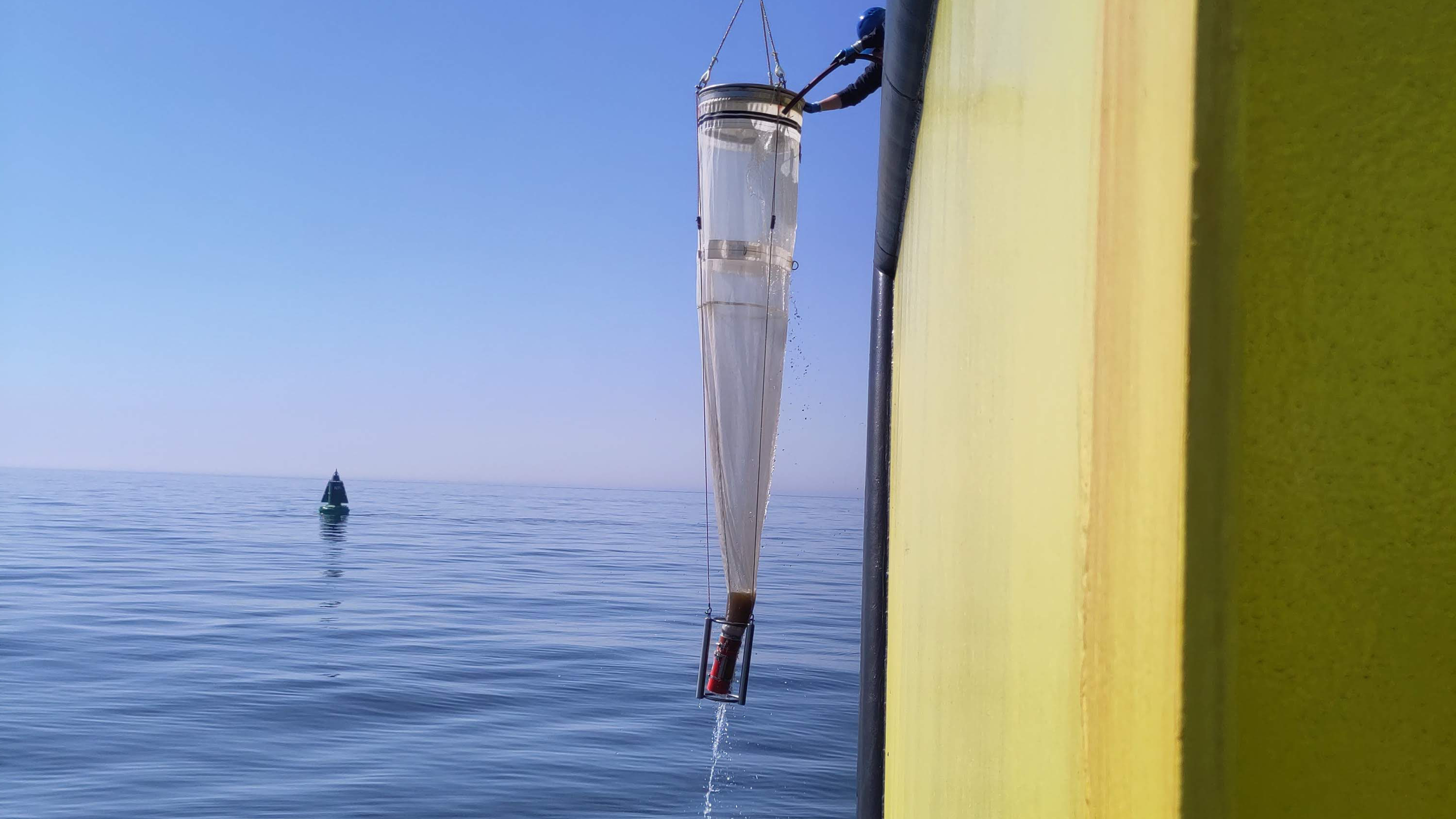 zooplankton sampling on the North Sea with a WP2 plankton net