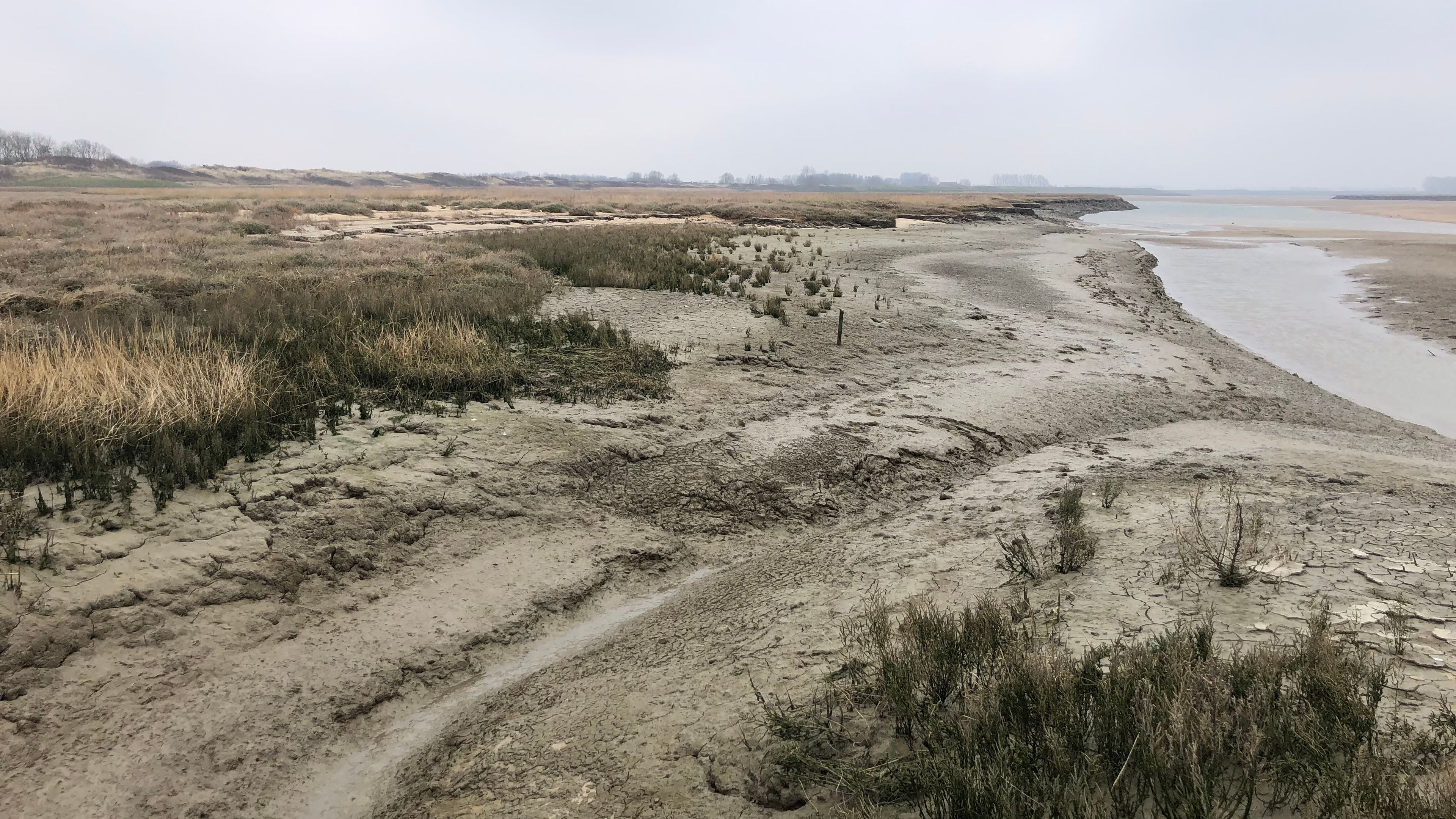 Cost line with sand and grey sky