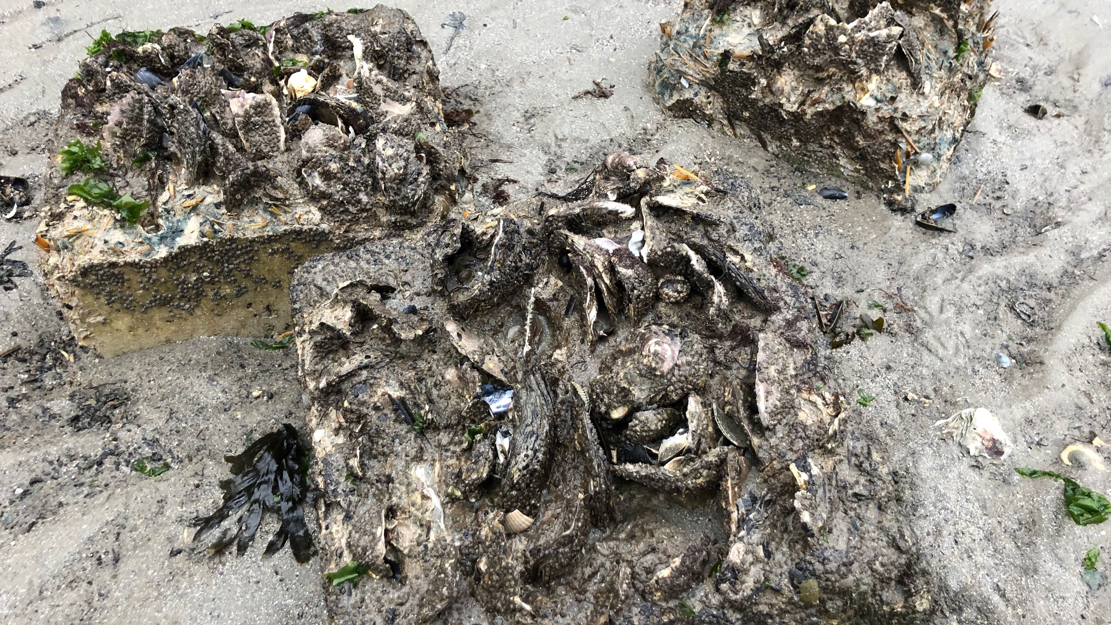 3 Xiriton blocks in the sand