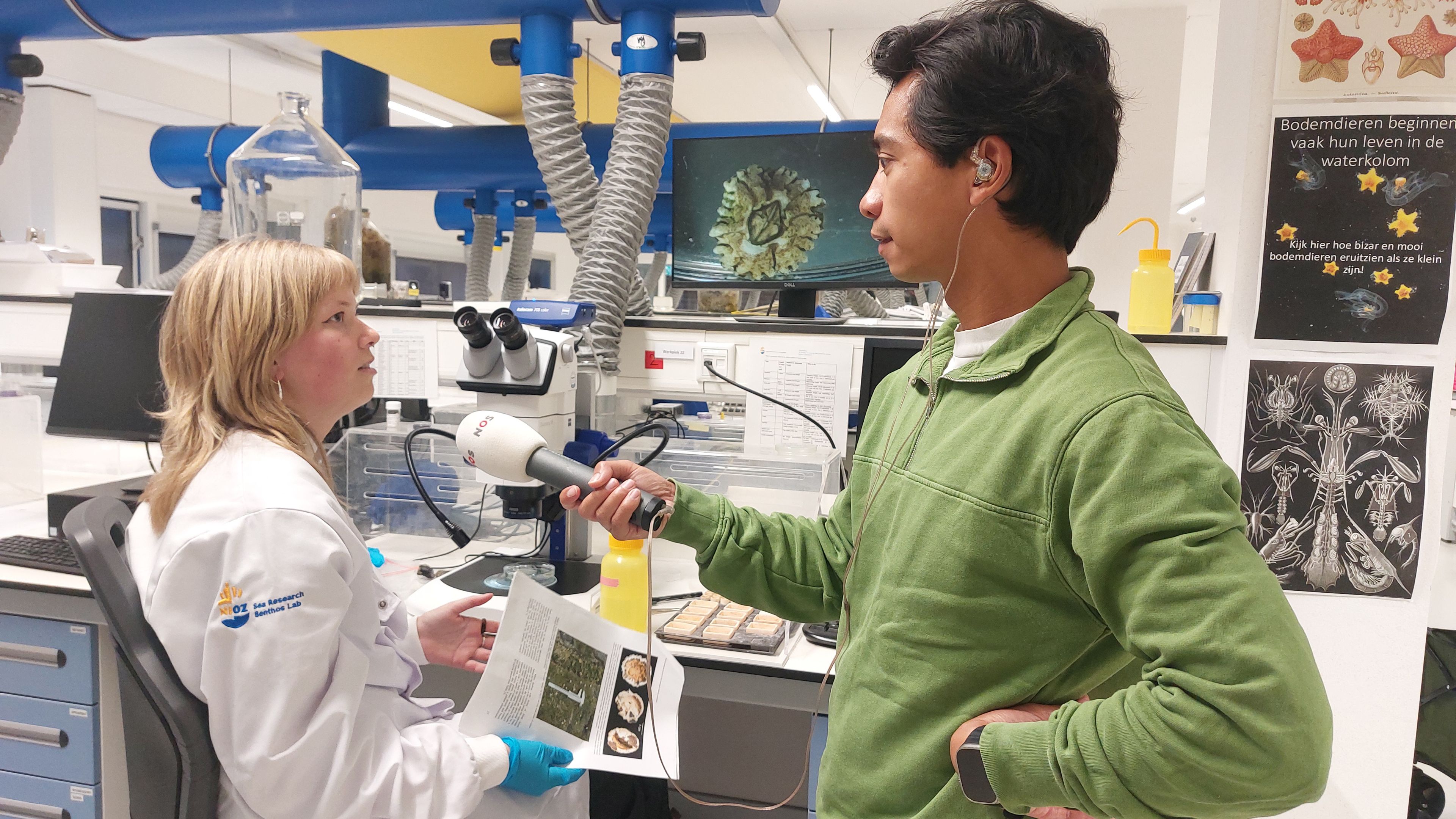 Foto in een lab-setting: NOS verslaggever interviewt onderzoeker Rosalinde van Ooijen over nieuwe soort pacifische zeepok  in Waddenzee