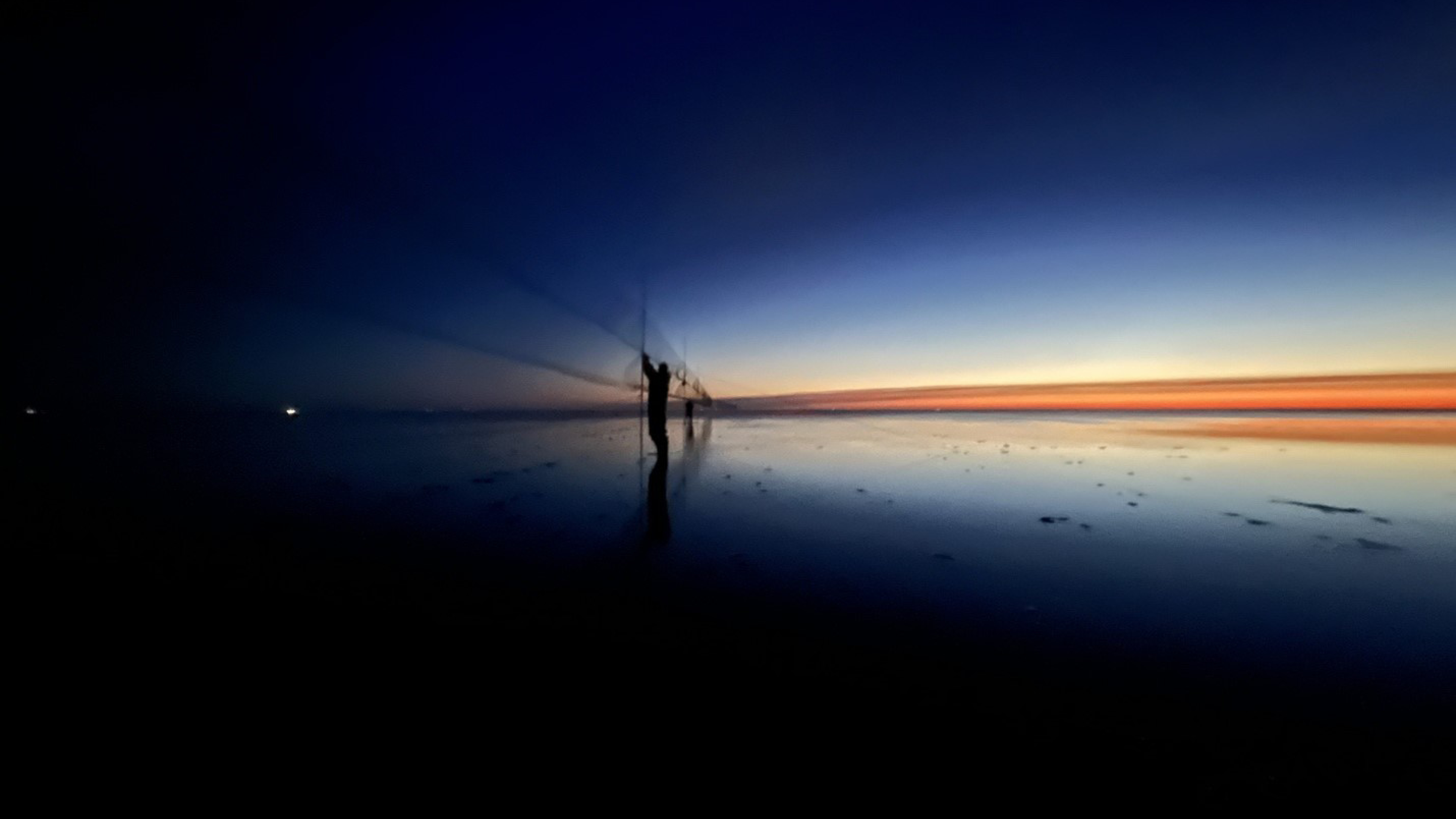 Nets for catching shorebirds to determine migratory departure weights. Balgzand, early morning