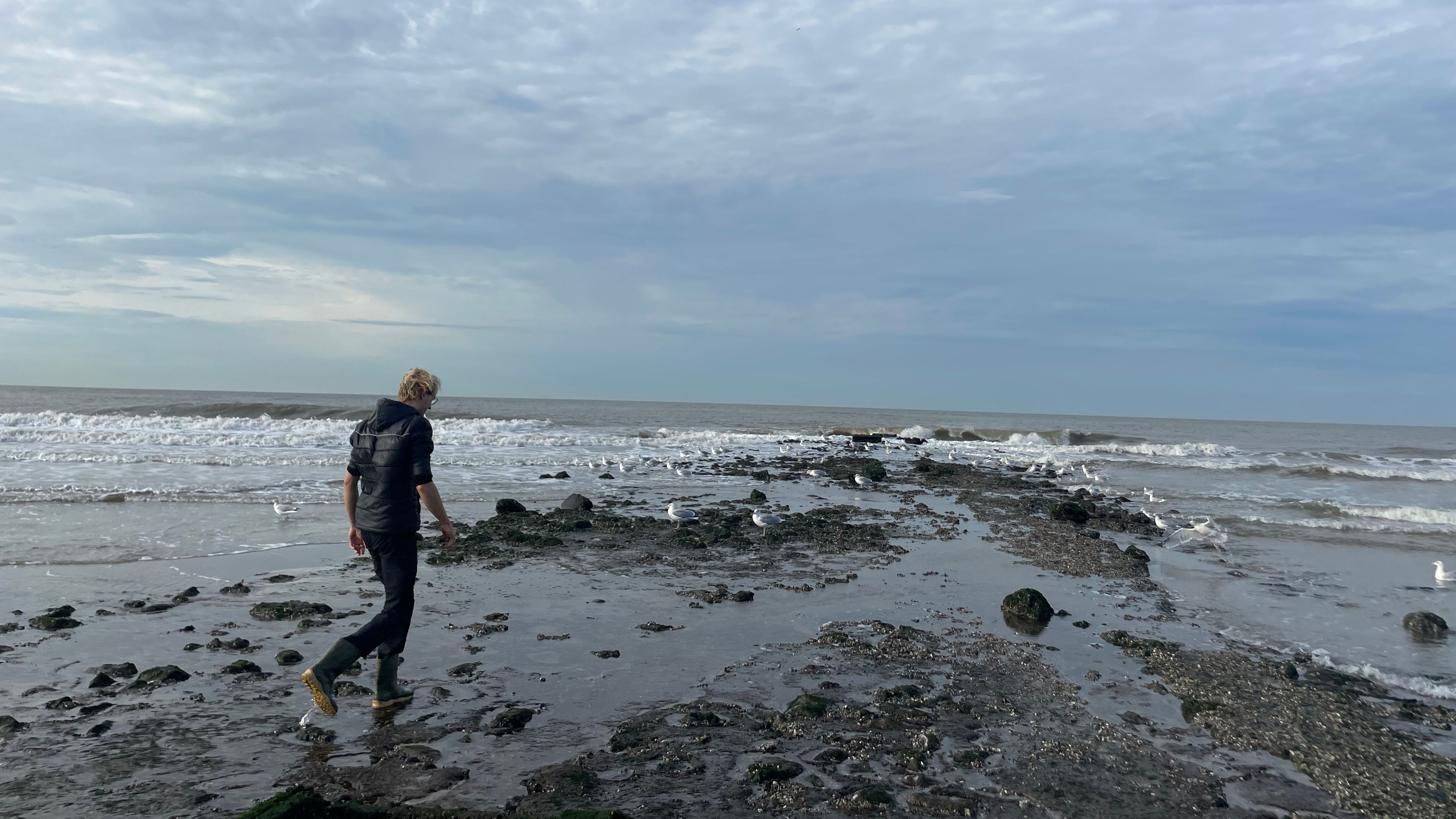 Photo of Ian Doornhof looking for mussels during the fieldwork of the Parasite-group at Paal 9 in 2025 November