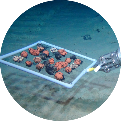 Robot arm holding various items under water